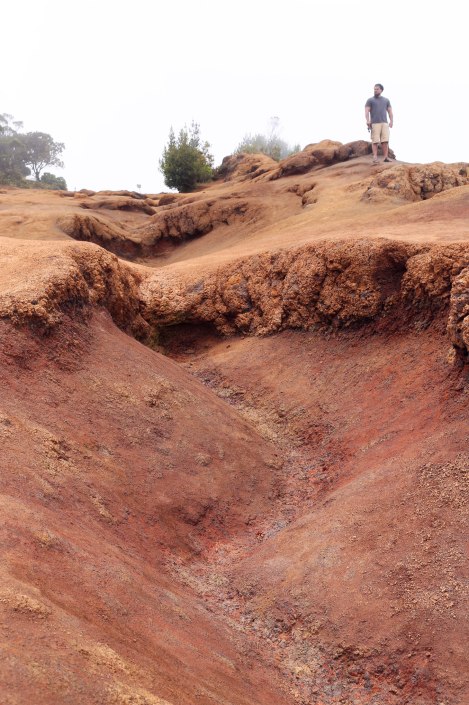 Pu‘u O Kila Lookout, Kokee State Park, Kauai, Hawaii