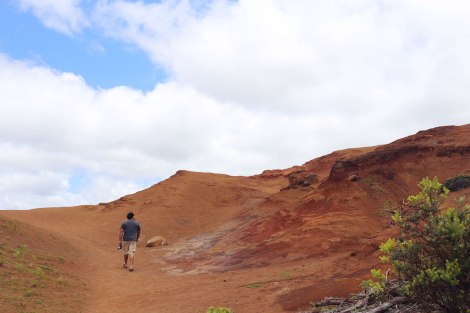 Waimea Canyon, Kauai, Hawaii