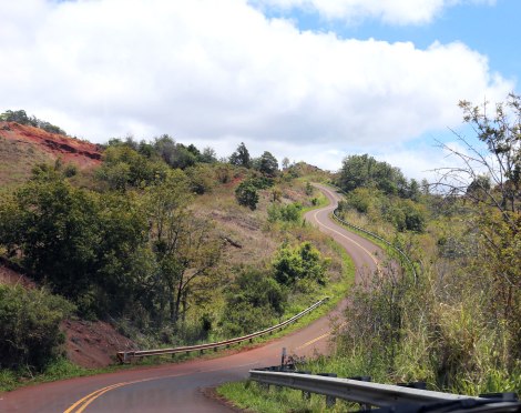 Waimea Canyon, Kokee State Park, Kauai, Hawaii