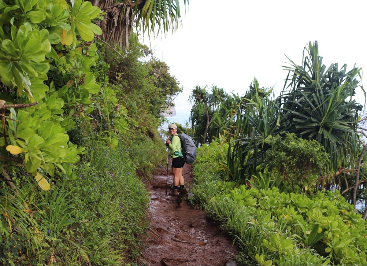 Kalalau Trail Na Pali Coast, Kauai