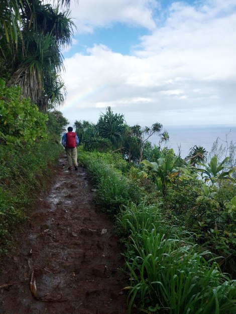 Kalalau Trail Na Pali Coast, Kauai
