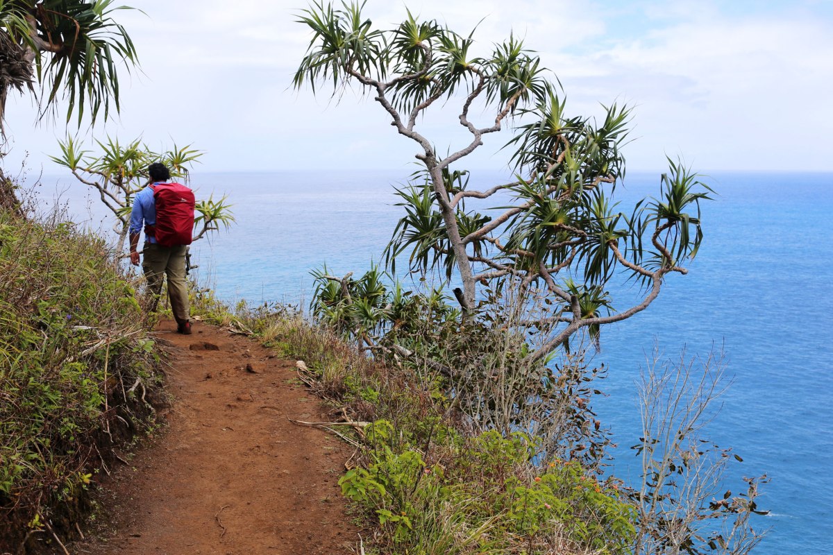 Kalalau Trail Na Pali Coast, Kauai
