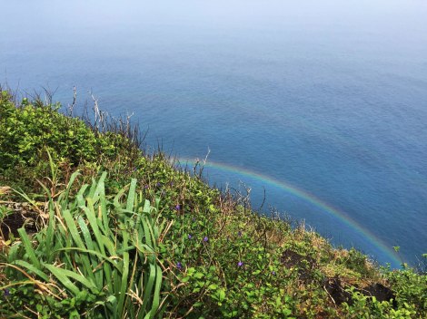 Kalalau Trail Na Pali Coast, Kauai