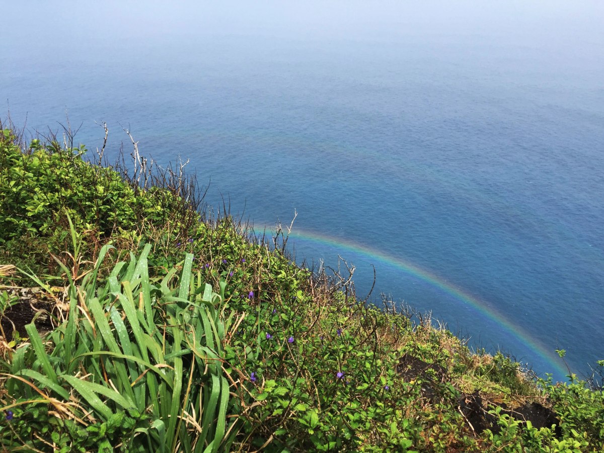 Kalalau Trail Na Pali Coast, Kauai