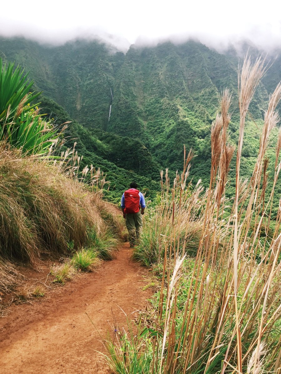 Kalalau Trail Na Pali Coast, Kauai