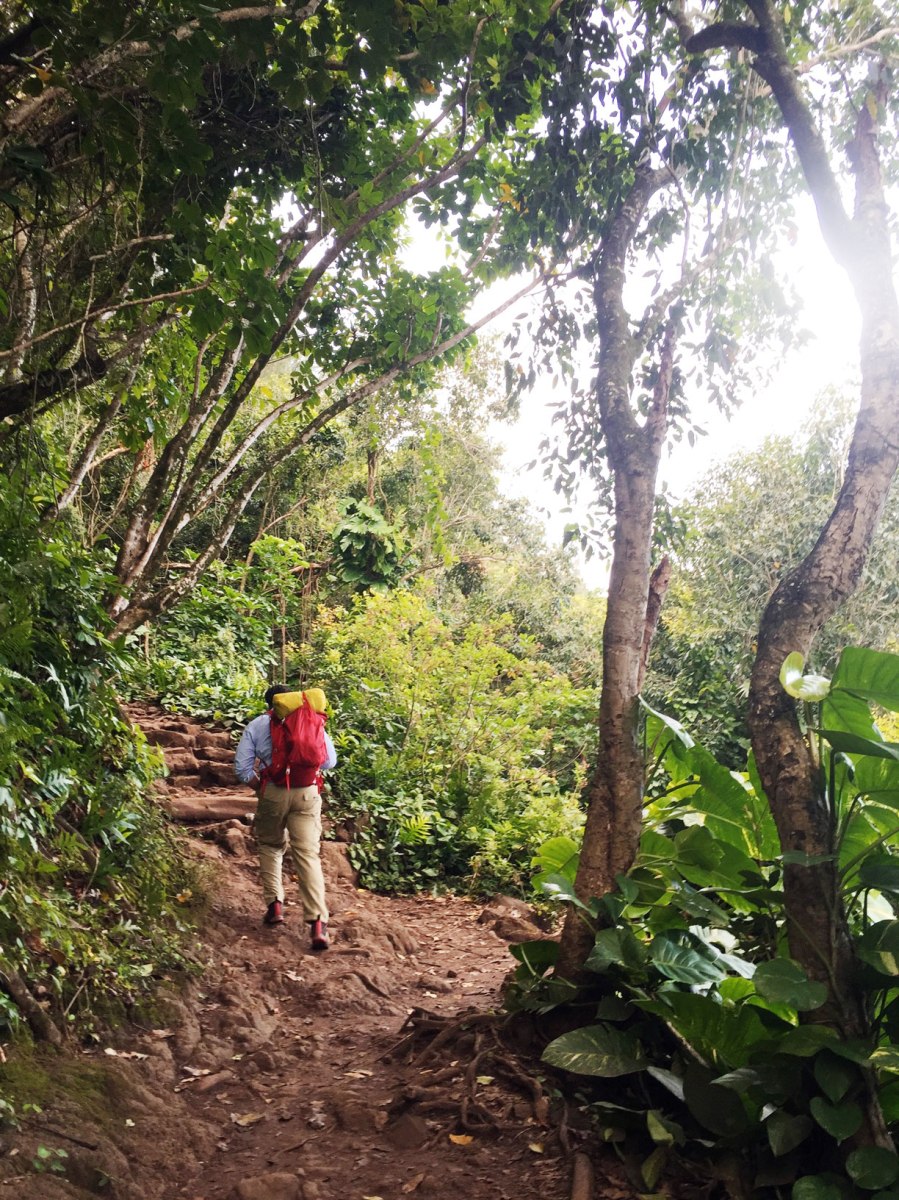 Kalalau Trail Na Pali Coast, Kauai