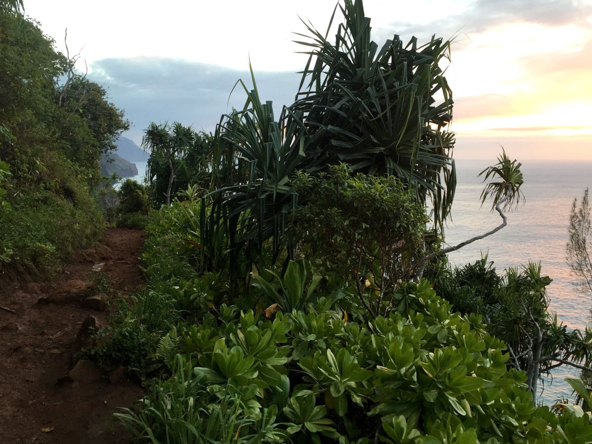 Kalalau Trail Na Pali Coast, Kauai