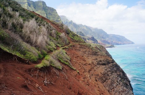 Kalalau Trail Na Pali Coast, Kauai