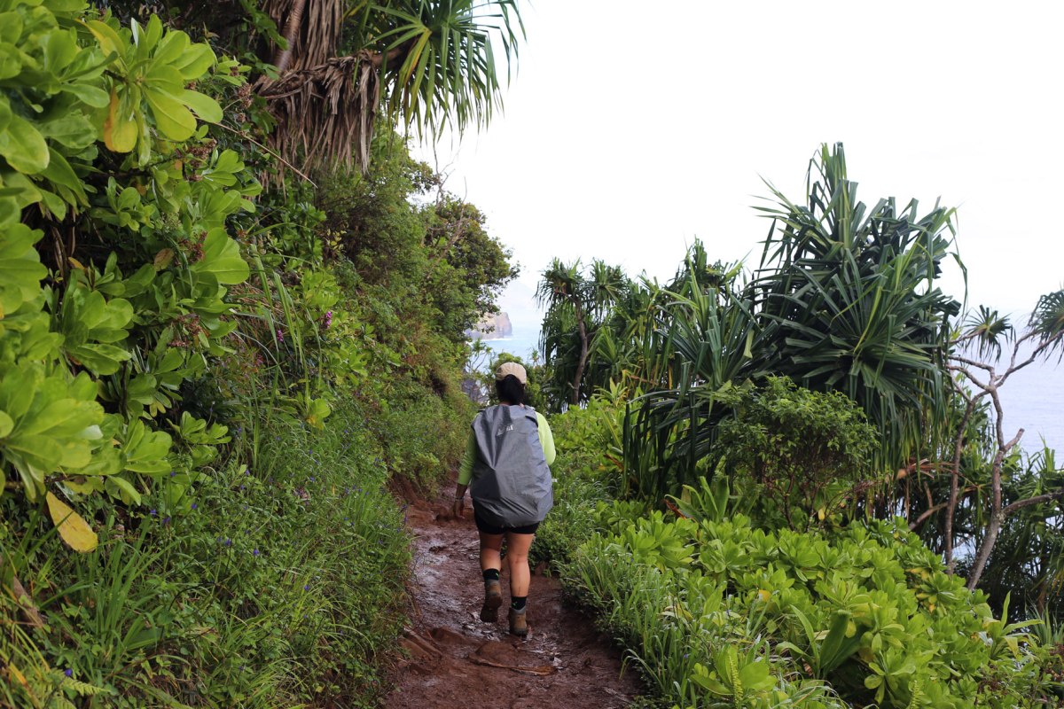Kalalau Trail Na Pali Coast, Kauai