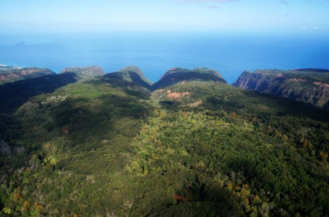 Kauai, Helicopter, Safari Helicopter Tour