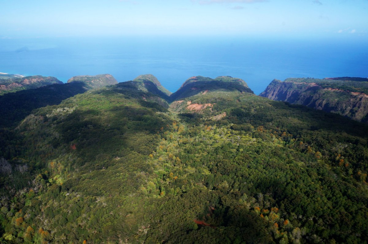 Kauai, Helicopter, Safari Helicopter Tour
