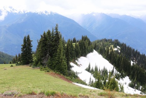 Hurricane Hill, Hurricane Ridge, Olympic National Park, Washington State