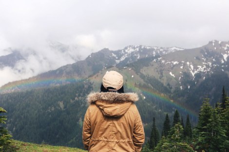 Hurricane Hill, Hurricane Ridge, Olympic National Park, Washington State