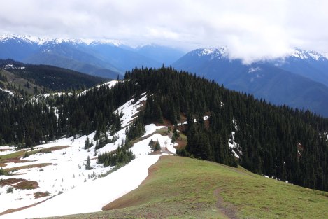 Hurricane Hill, Hurricane Ridge, Olympic National Park, Washington State