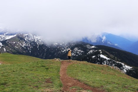 Hurricane Hill, Hurricane Ridge, Olympic National Park, Washington State