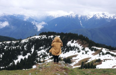 Hurricane Hill, Hurricane Ridge, Olympic National Park, Washington State