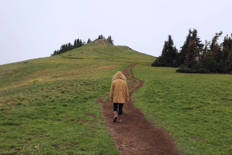 Hurricane Hill, Hurricane Ridge, Olympic National Park, Washington State