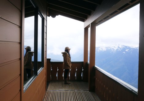 Hurricane Hill, Hurricane Ridge, Olympic National Park, Washington State