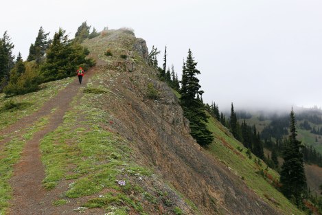 Hurricane Hill, Hurricane Ridge, Olympic National Park, Washington State
