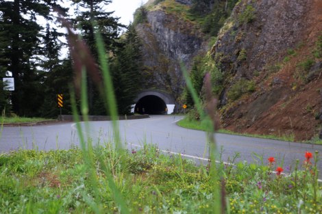 Hurricane Ridge, Olympic National Park, Washington State
