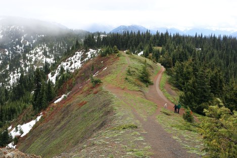 Hurricane Hill, Hurricane Ridge, Olympic National Park, Washington State