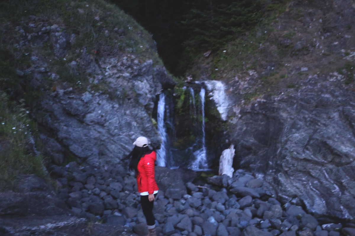 Samuel H Boardman State Park