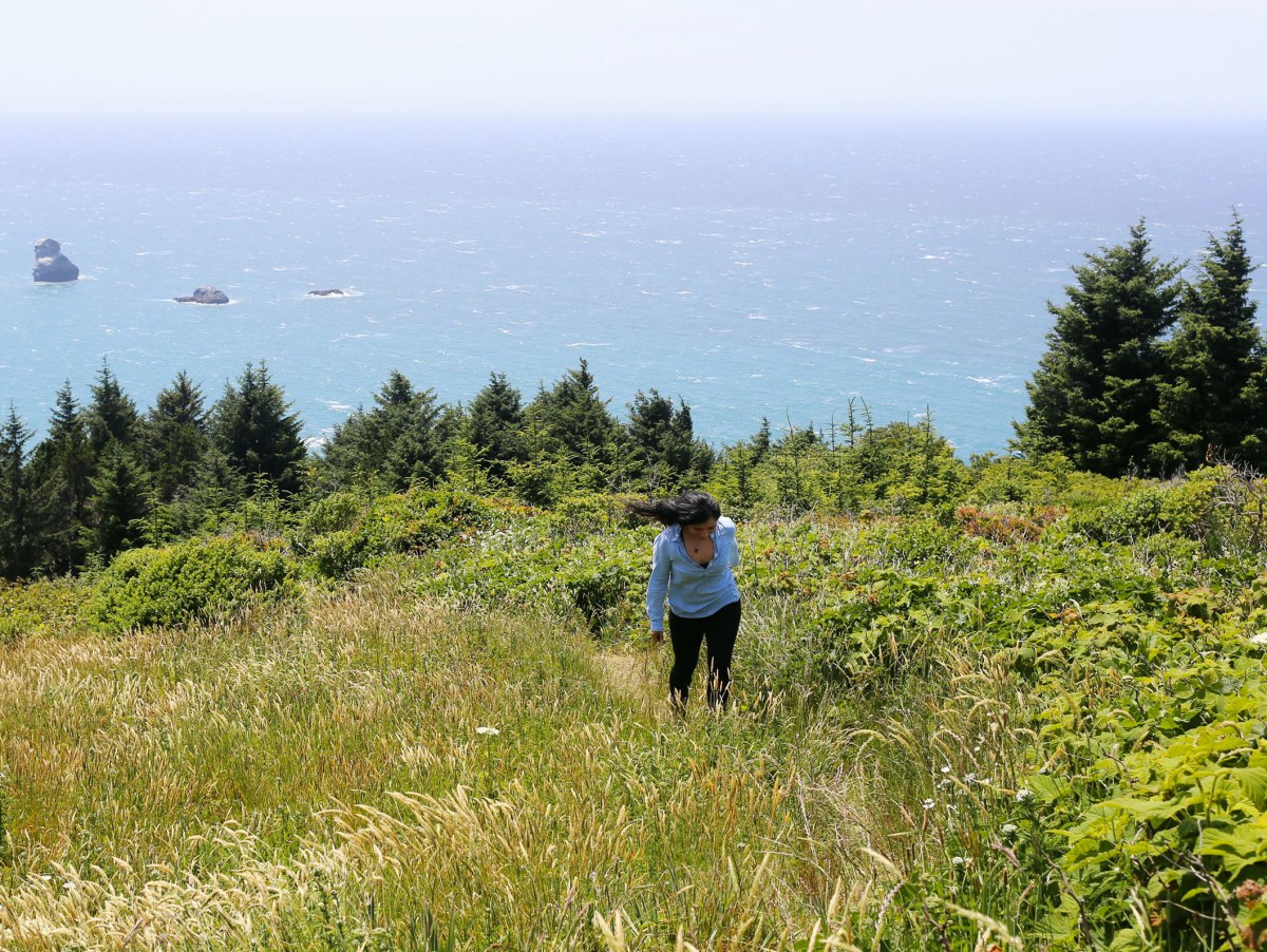Samuel H Boardman Scenic Corridor