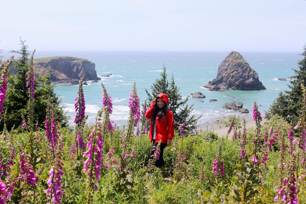 Samuel H Boardman State Park