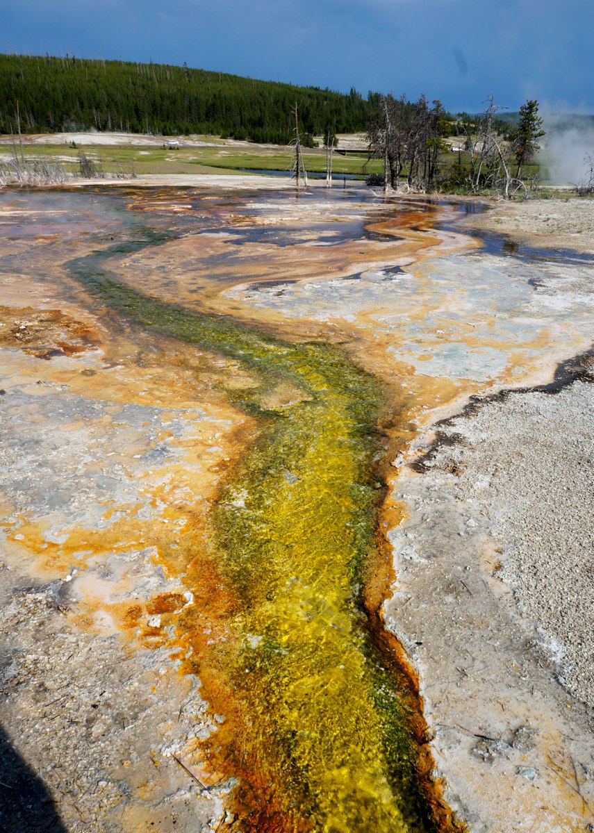 Yellowstone, Wyoming, Montana