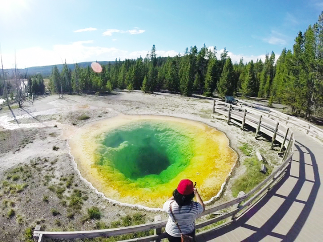 Morning Glory, Yellowstone