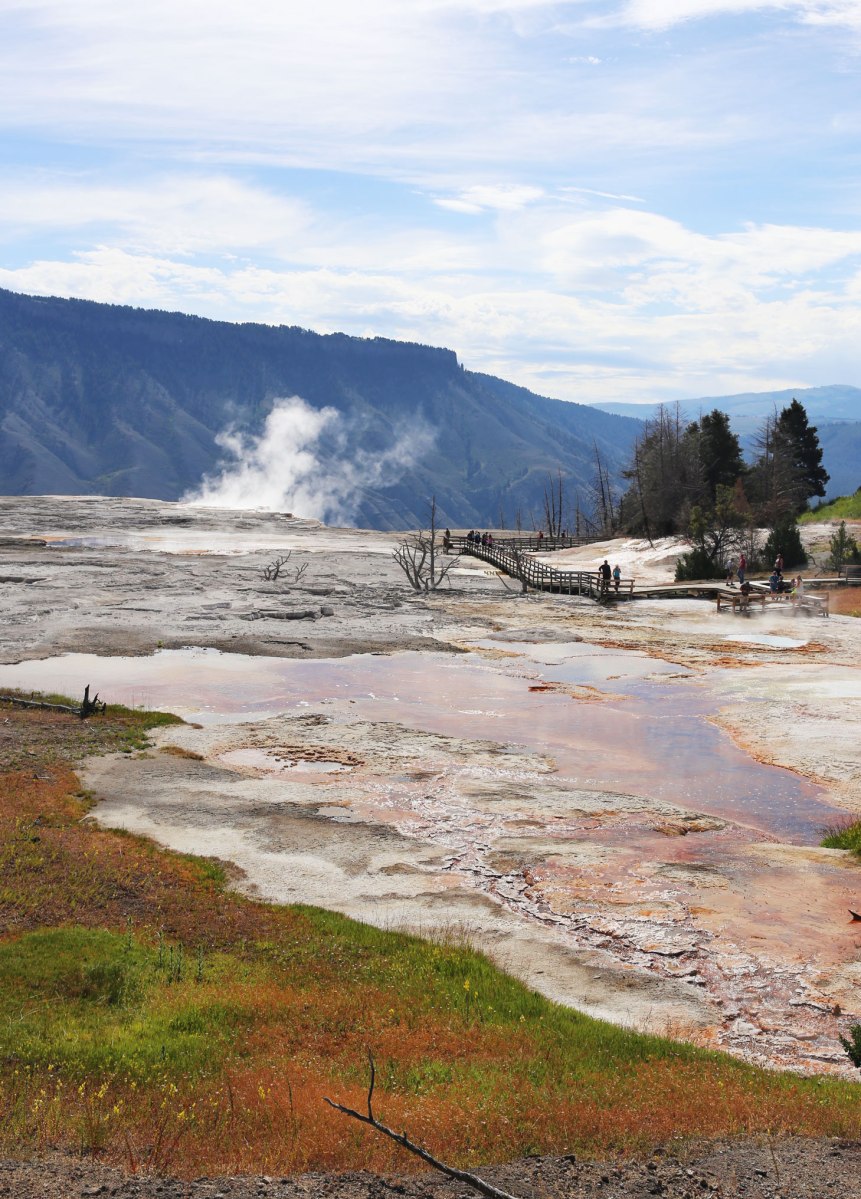 Yellowstone, Mammoth Hot Springs