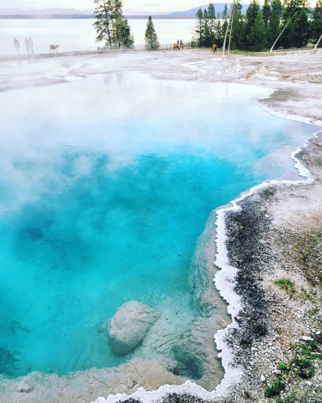 West Thumb Geyser Basin, Yellowstone
