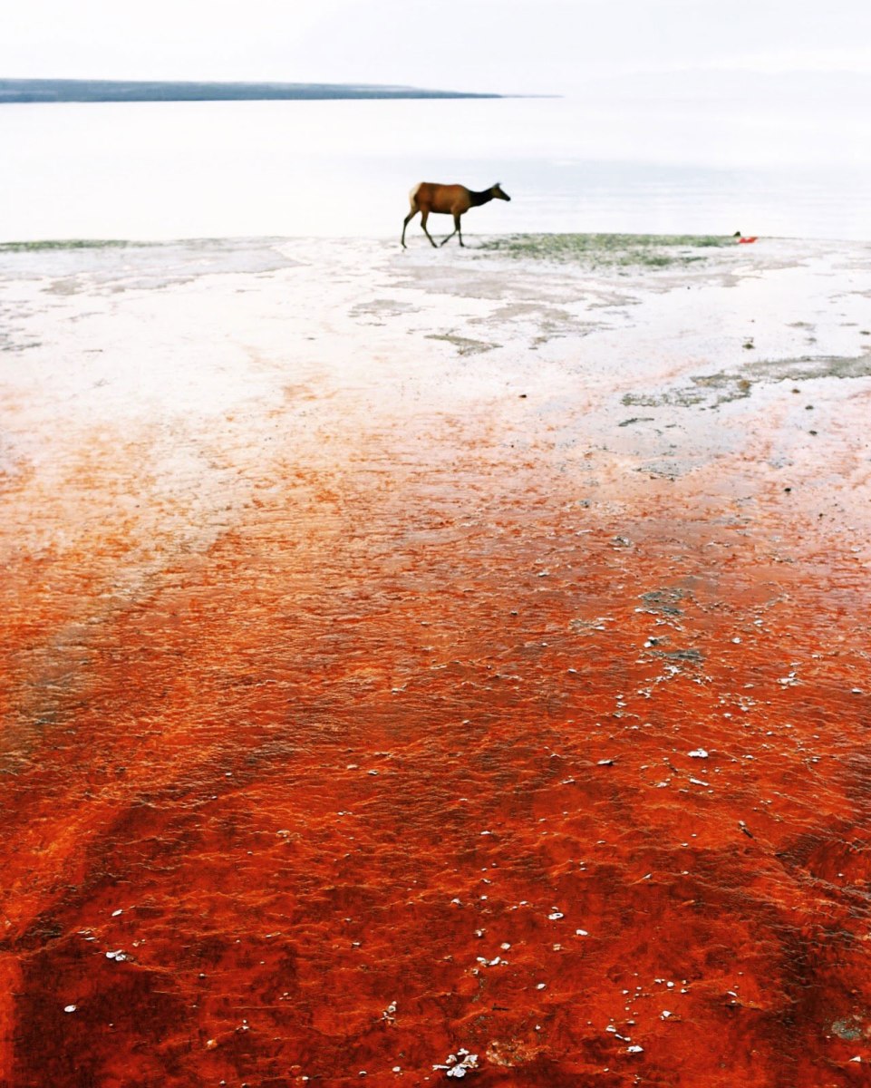 West Thumb Geyser Basin, Yellowstone