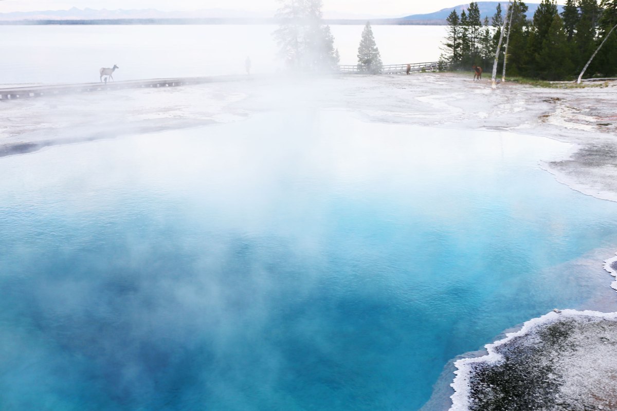 West Thumb Geyser Basin, Yellowstone