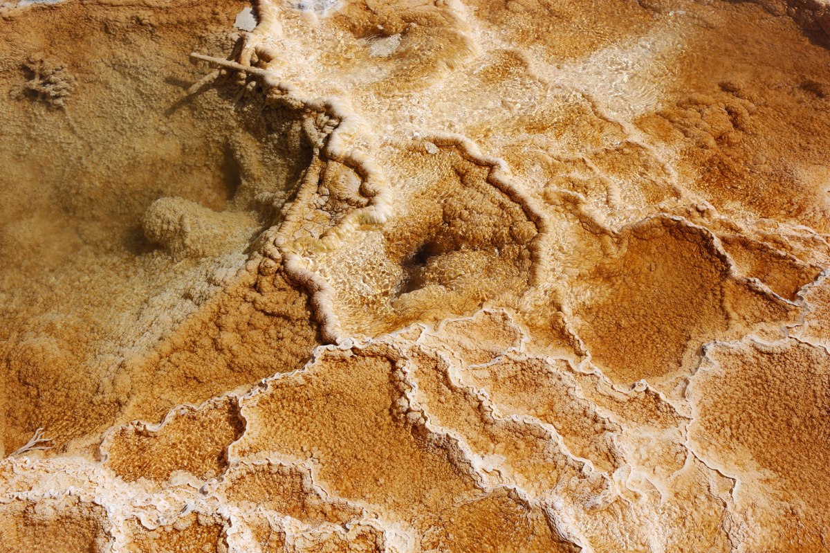 Yellowstone, Mammoth Hot Springs