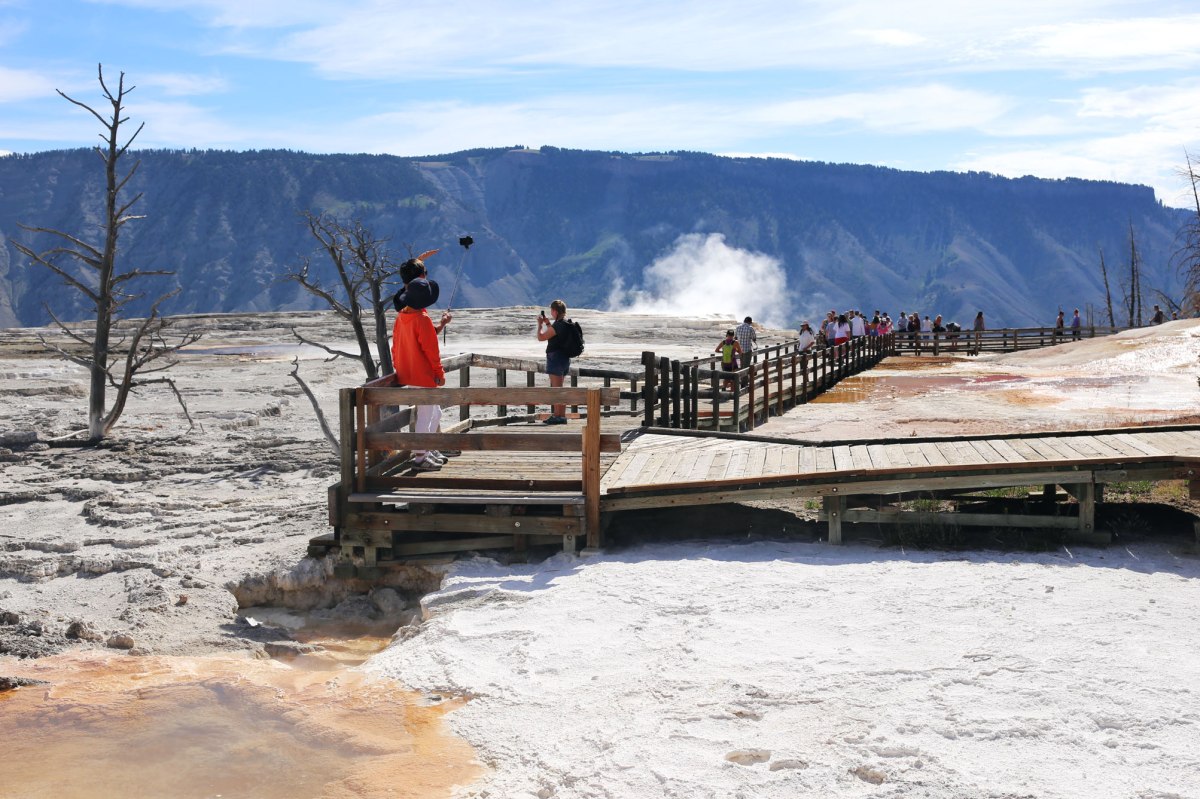 Yellowstone, Mammoth Hot Springs