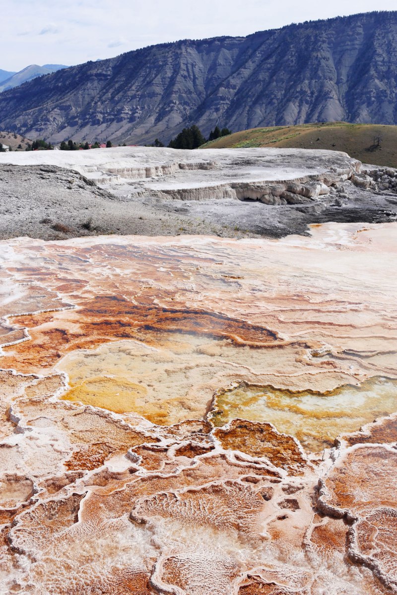 Yellowstone, Mammoth Hot Springs