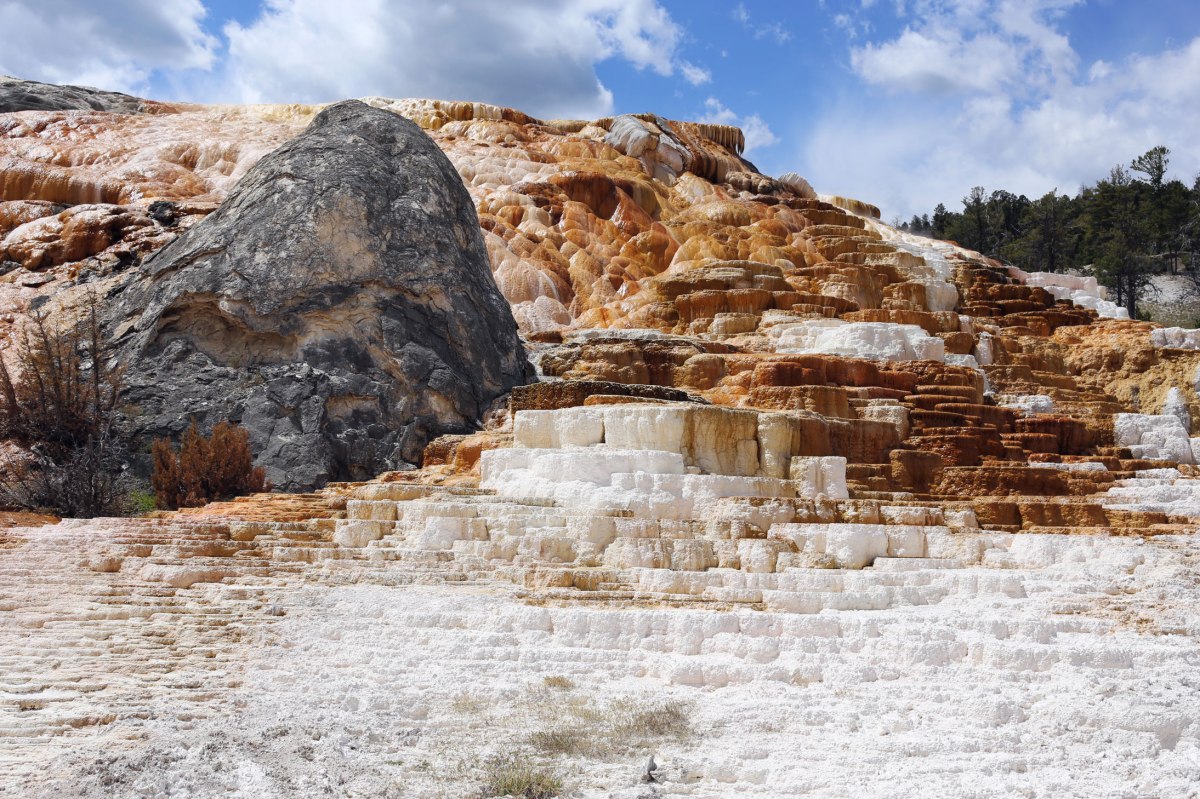 Yellowstone, Mammoth Hot Springs