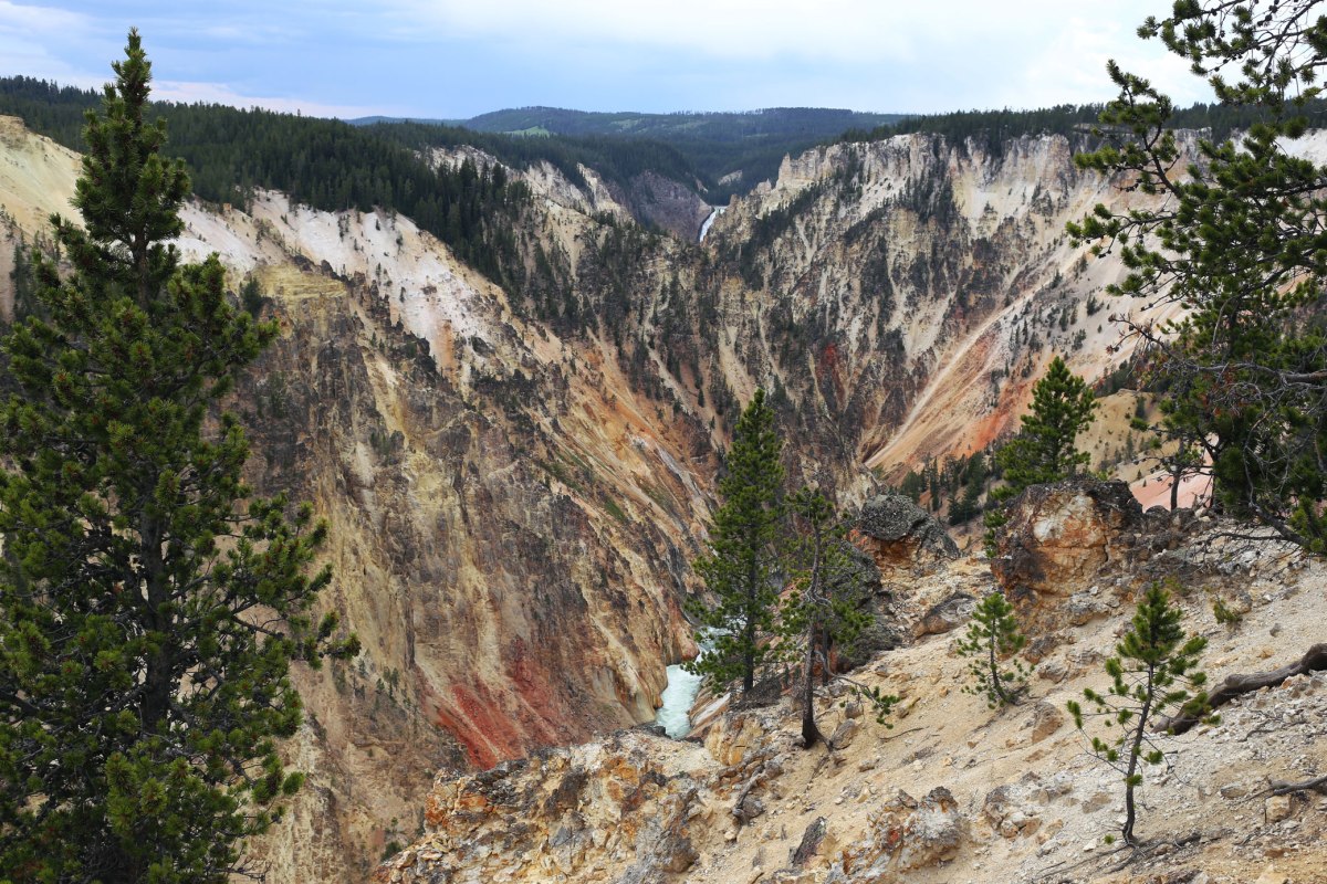 Yellowstone, Grand Canyon of the Yellowstone River