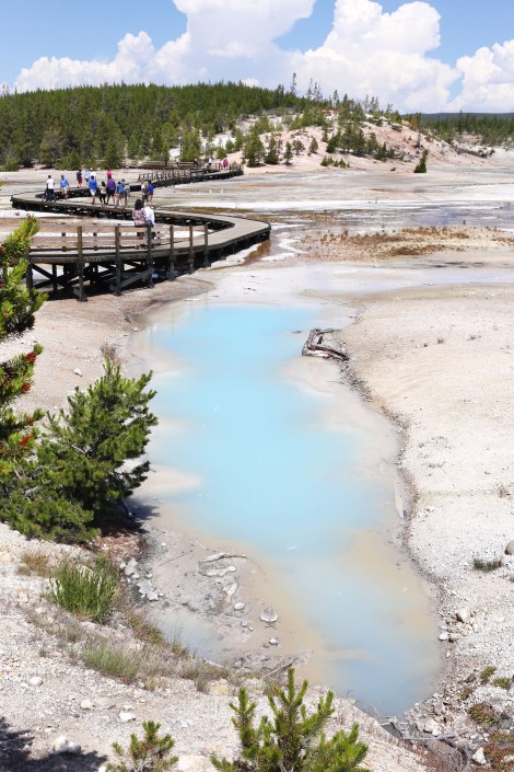 Norris Geyser Basin, Yellowstone