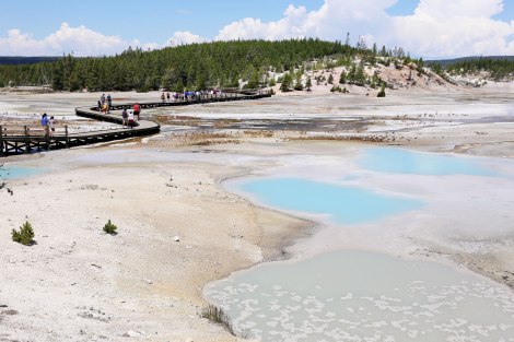 Norris Geyser Basin, Yellowstone