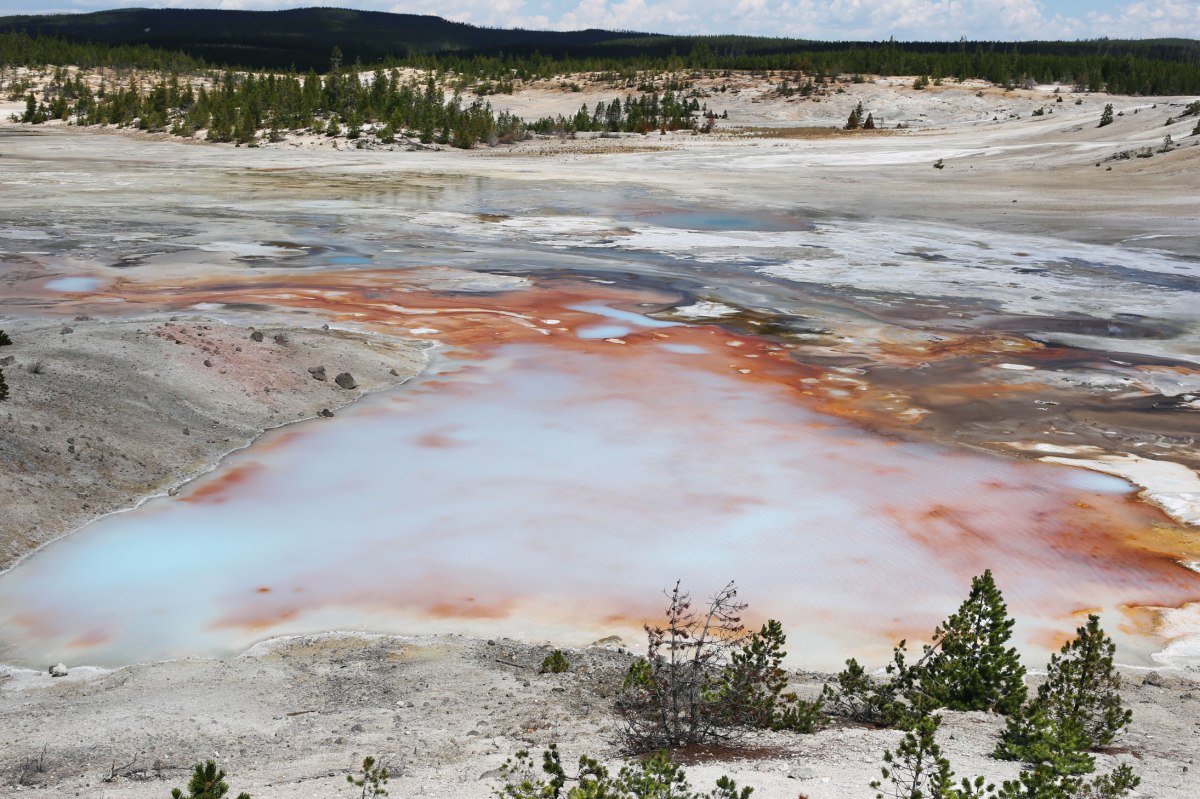 Norris Geyser Basin, Yellowstone