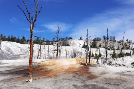 Angel Terrace, Yellowstone