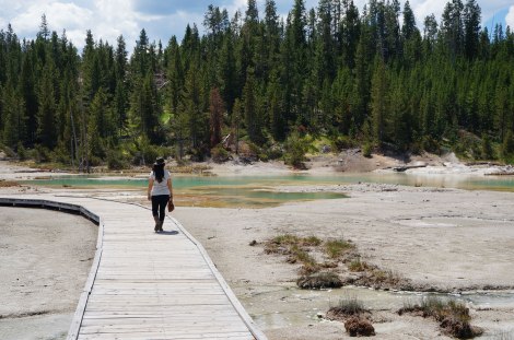 Norris Geyser Basin, Yellowstone