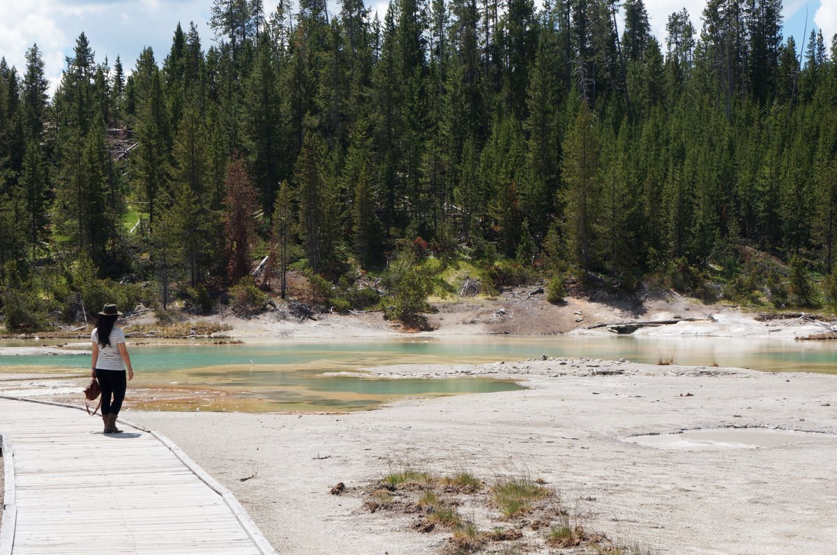 Norris Geyser Basin, Yellowstone