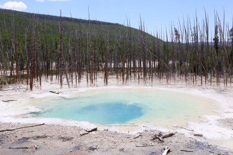 Norris Geyser Basin, Yellowstone