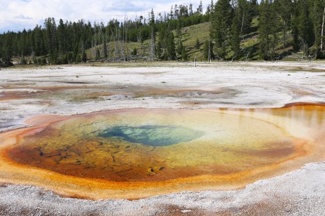 Upper Geyser Basin,Yellowstone