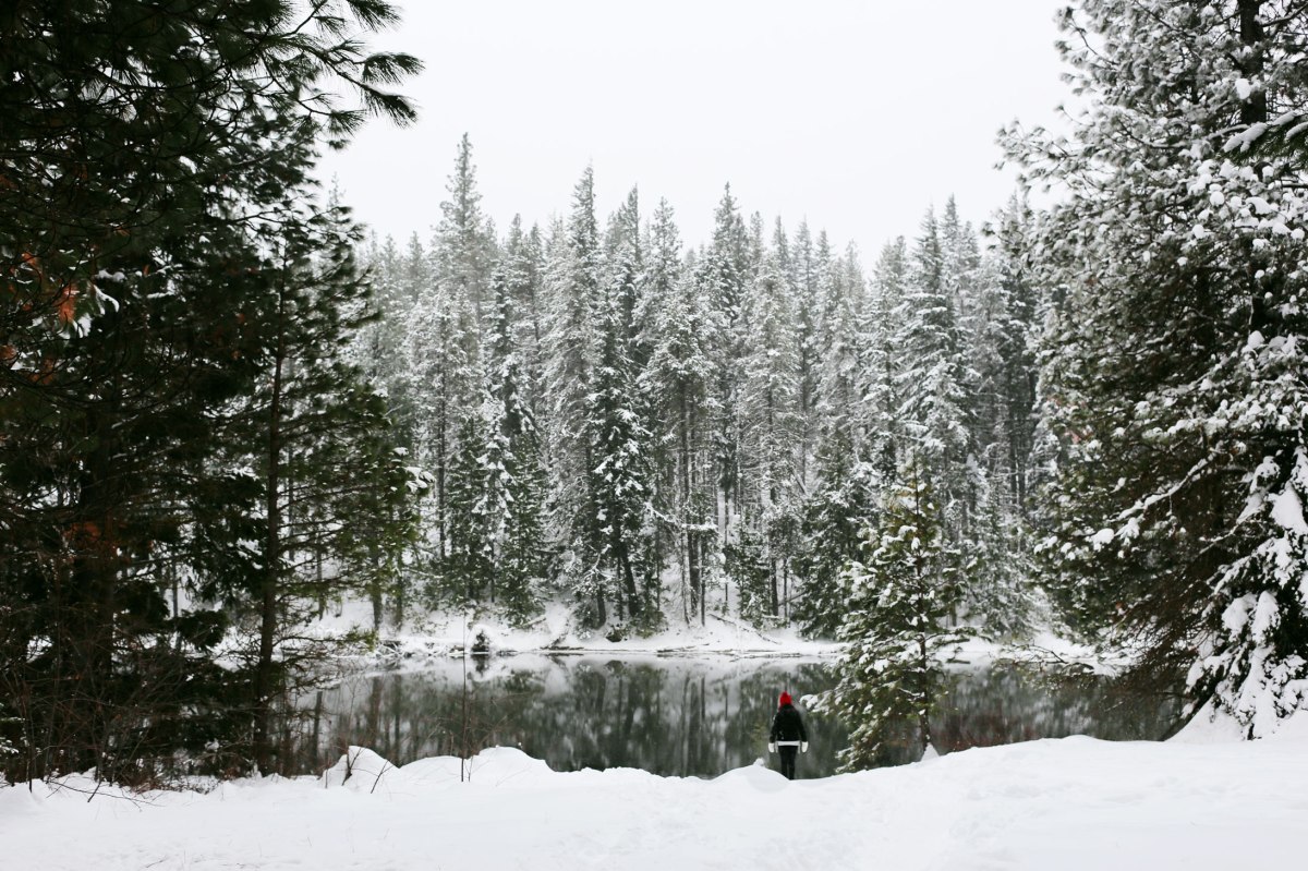 Lakeview Retreat Leavenworth, AirBnB, PNW, Lake Wenatchee