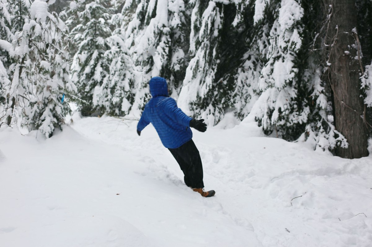 Lakeview Retreat Leavenworth, AirBnB, PNW, Lake Wenatchee