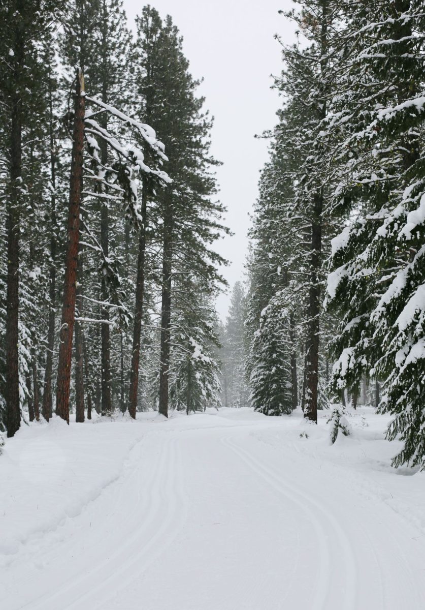 Lakeview Retreat Leavenworth, AirBnB, PNW, Lake Wenatchee